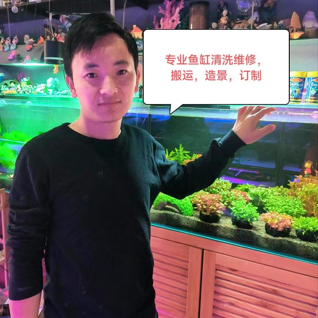 衡水定制鱼缸清洗维修