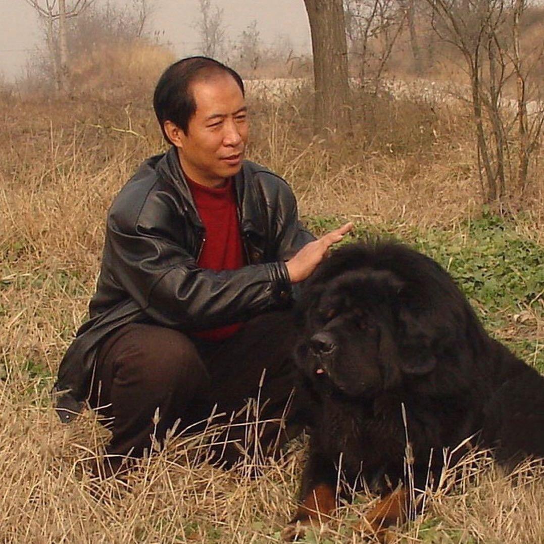 神州藏獒研究基地