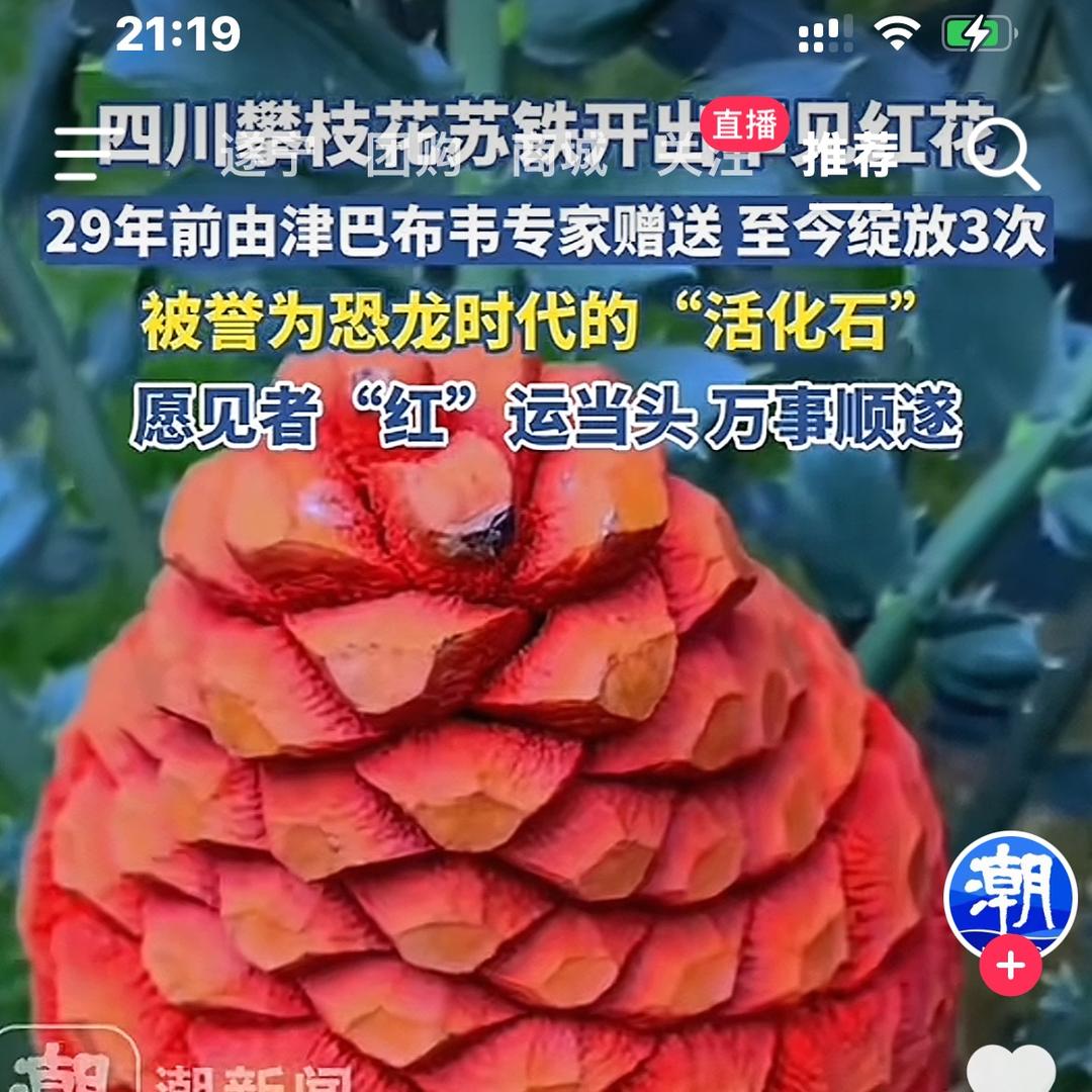 杰哥哥⁷⁶⁶⁶·居士