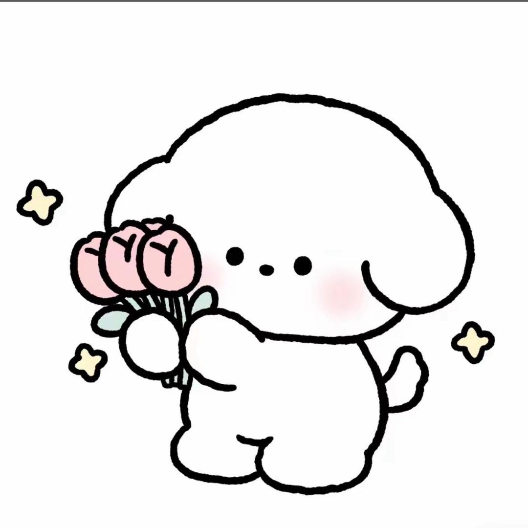 小贝壳🐚