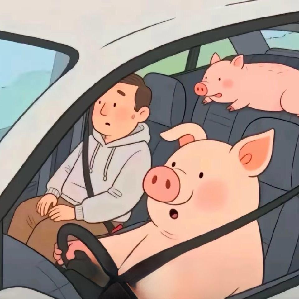 古辰驾校校招部- Zhang