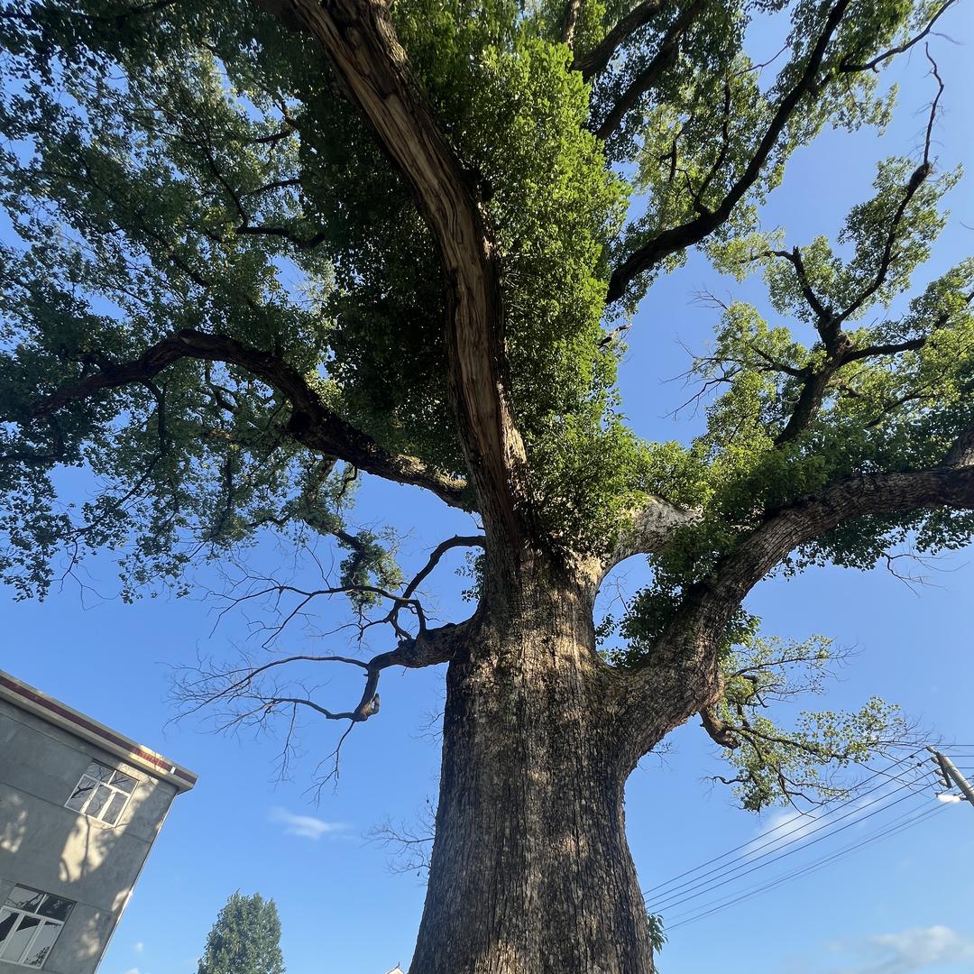 励志娃助农百货