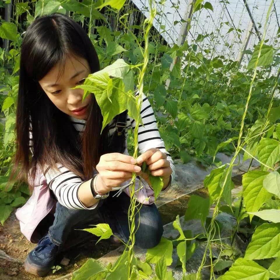 新农人海燕老师