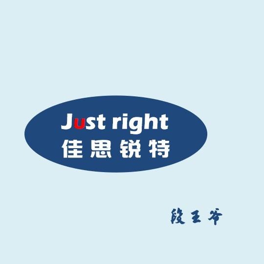 段王爷-浅谈电机