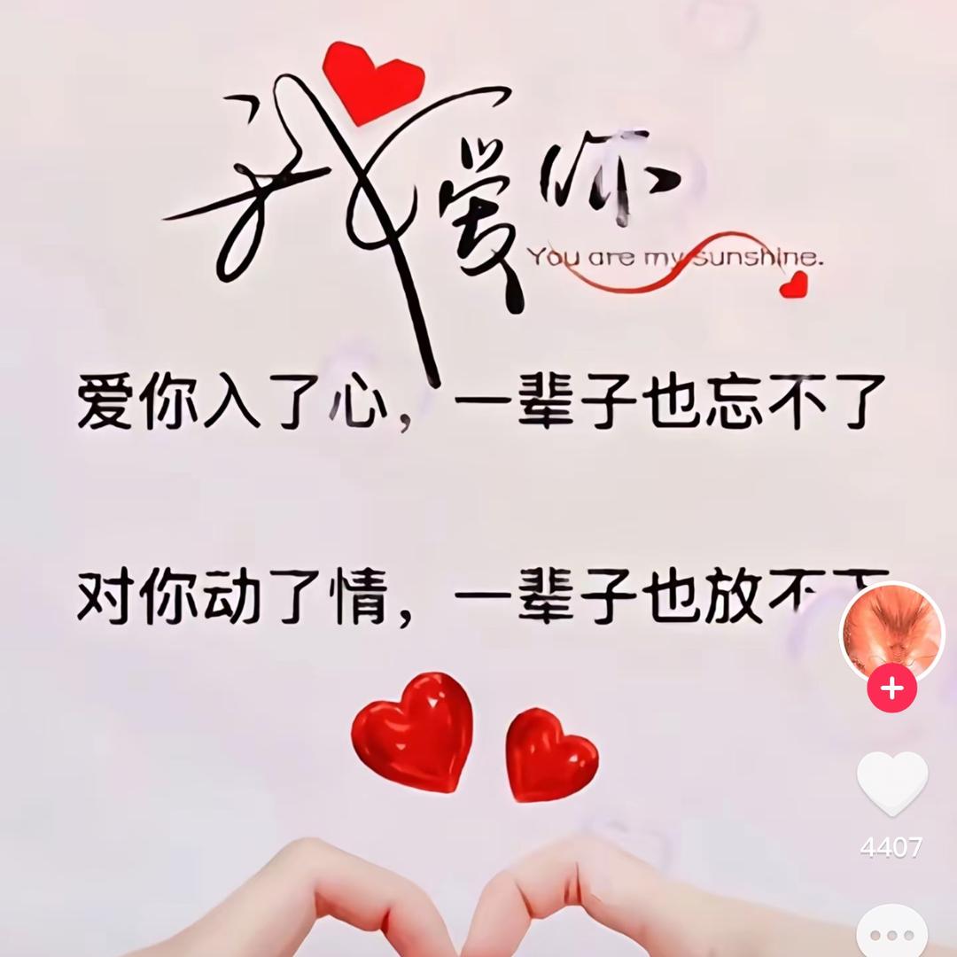 （💘）从此无心爱良人💘