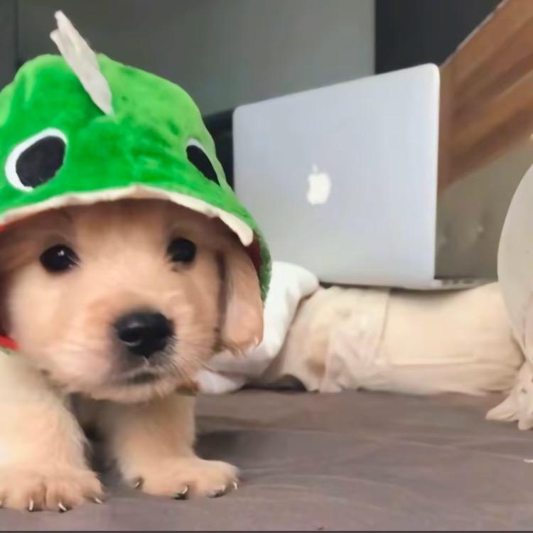 郝邵文生活小超市,