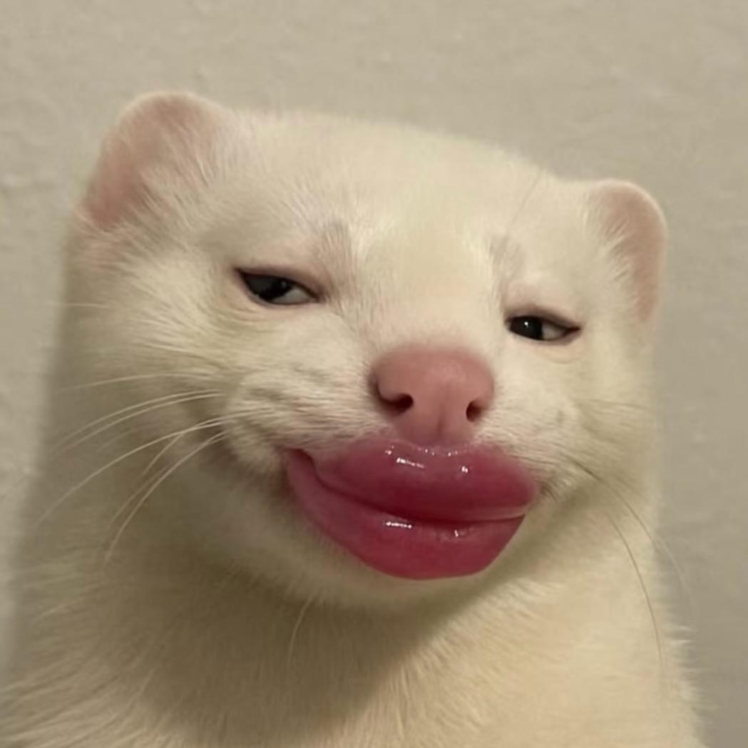 天生腐灵根