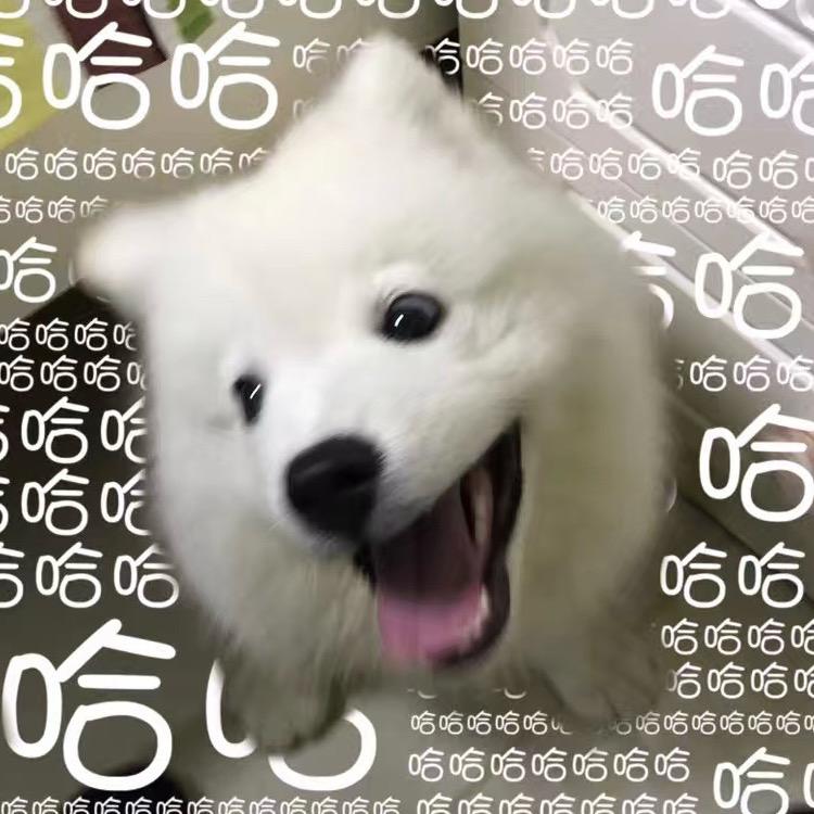 叨叨耶不耶