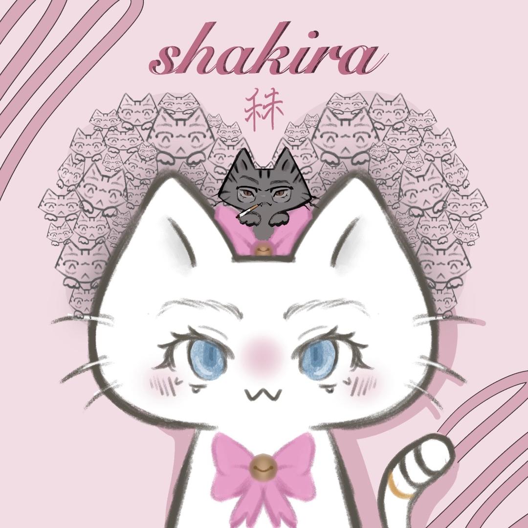 Shakira.秣（混血版）