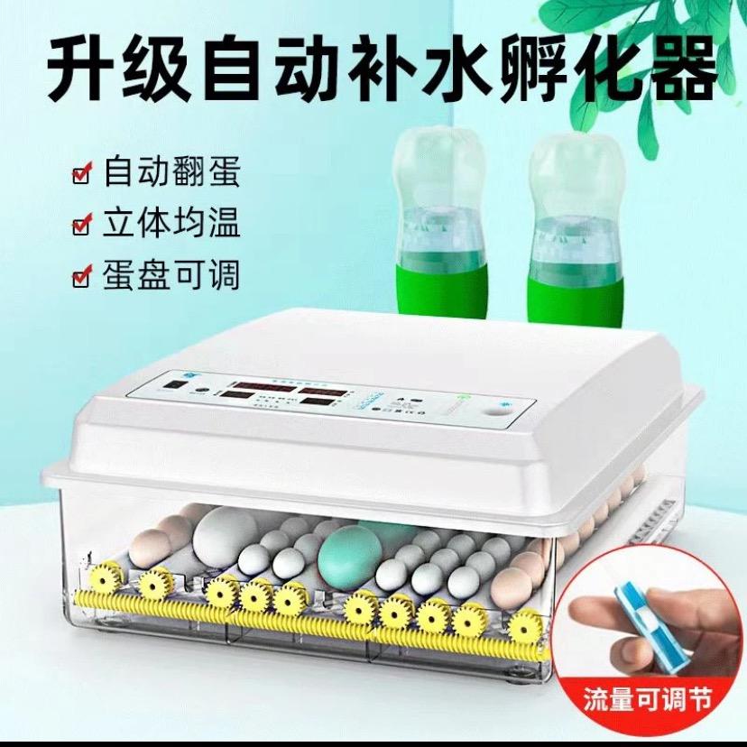 博实孵化器0基础成功孵化