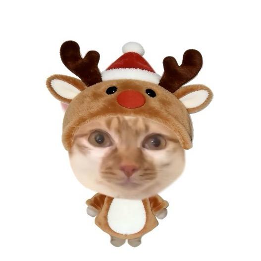 喜欢一个山东人