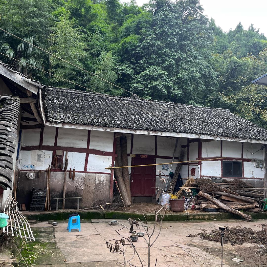 农村小丹