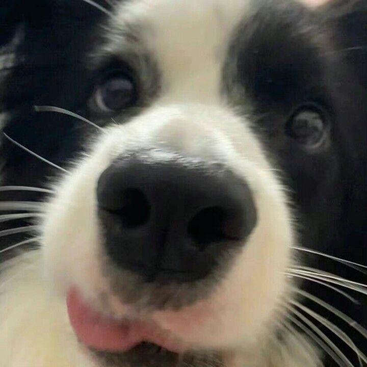 㐅