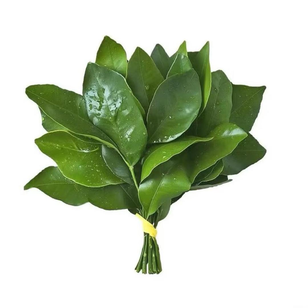 泡泡