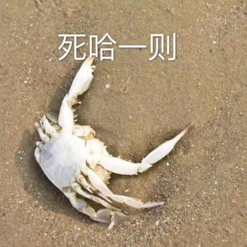零纳悲儿头像