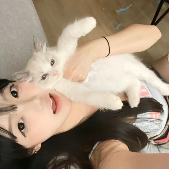 贝贝ō
