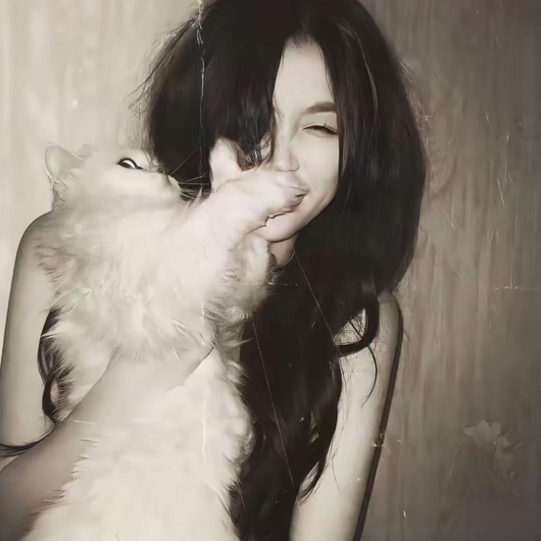 过期脆脆鲨