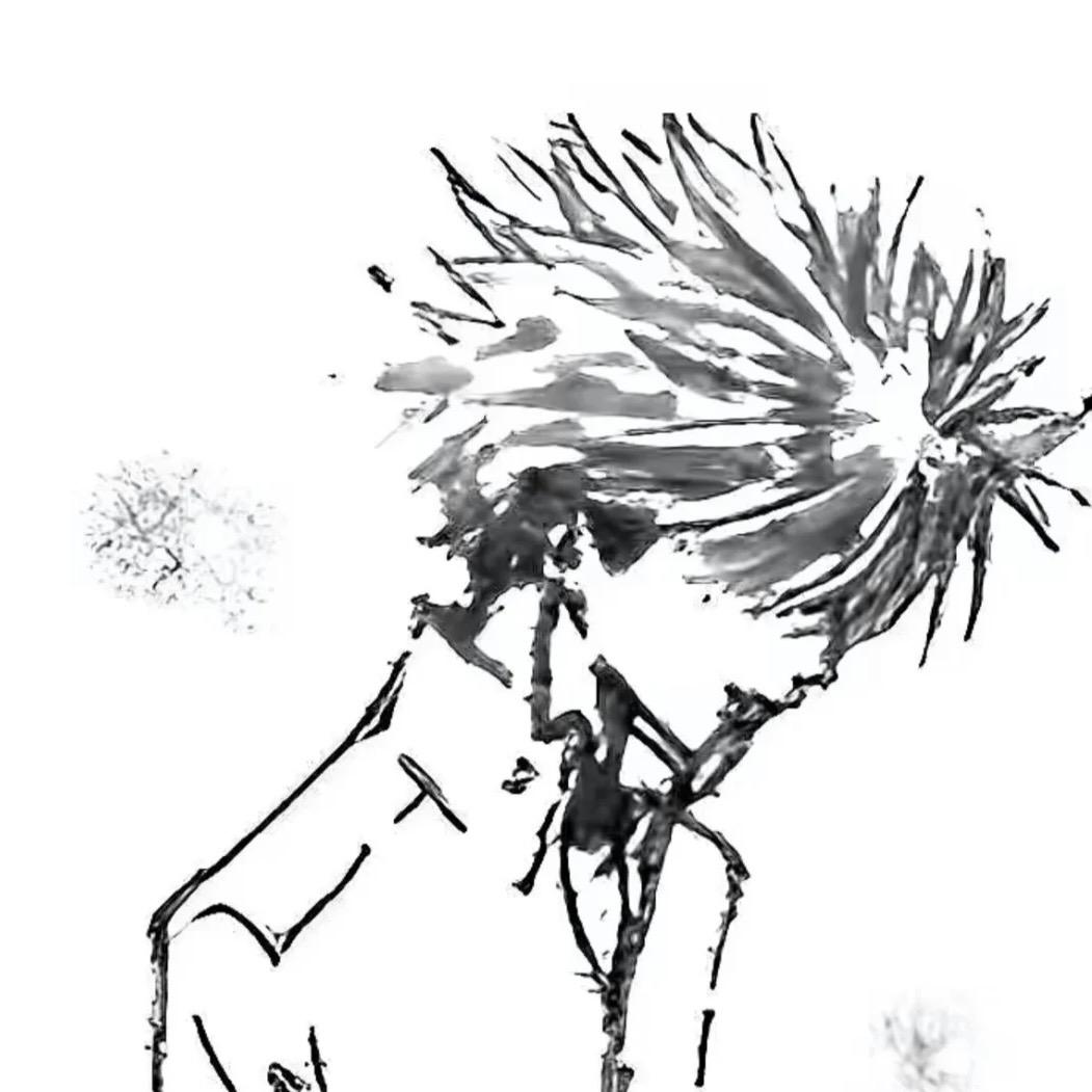 透少