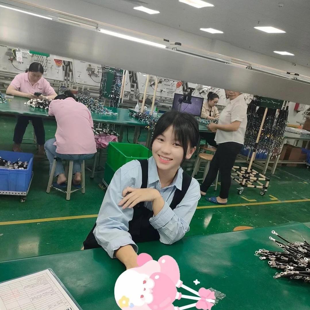 众为兴人力资源有限公司