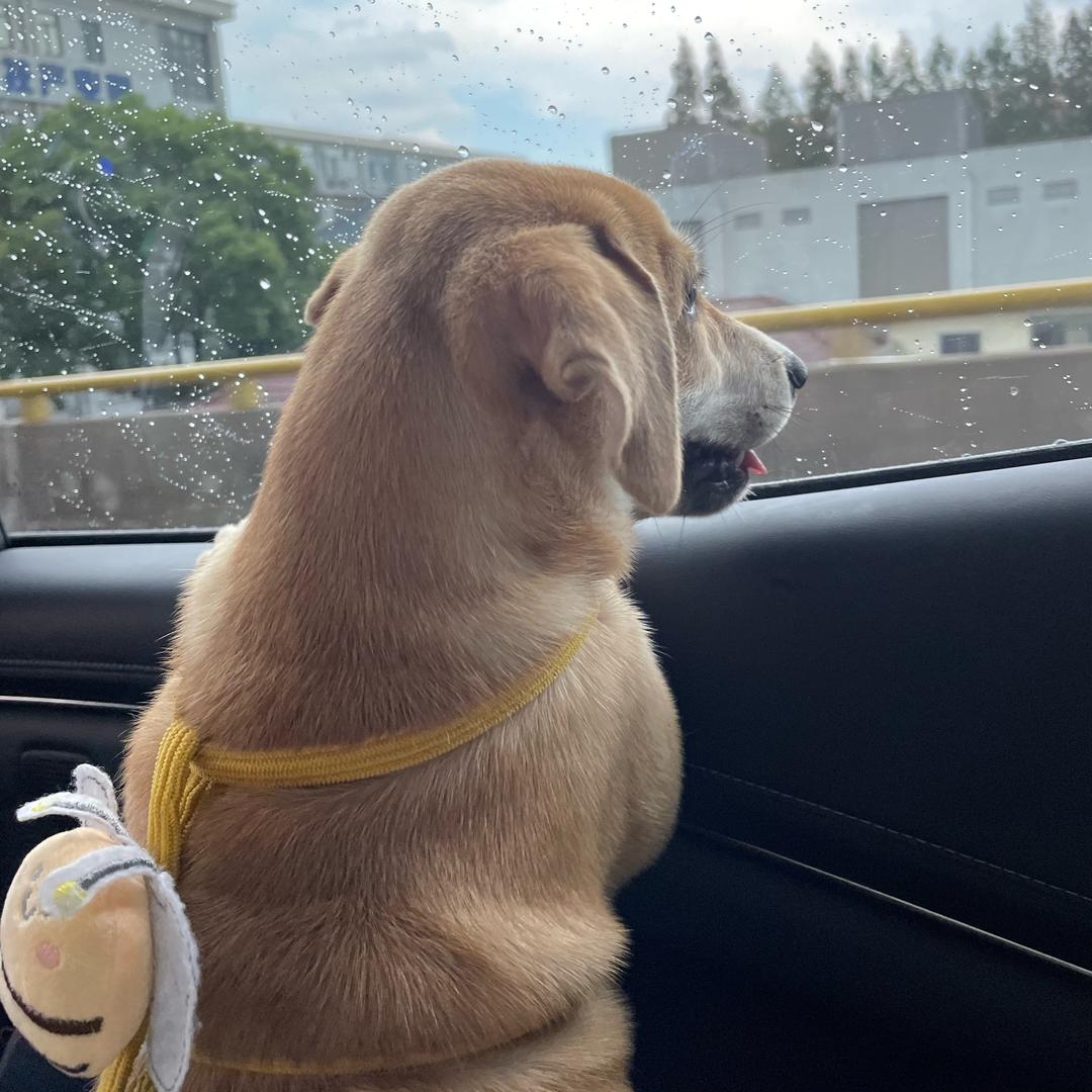 田小林