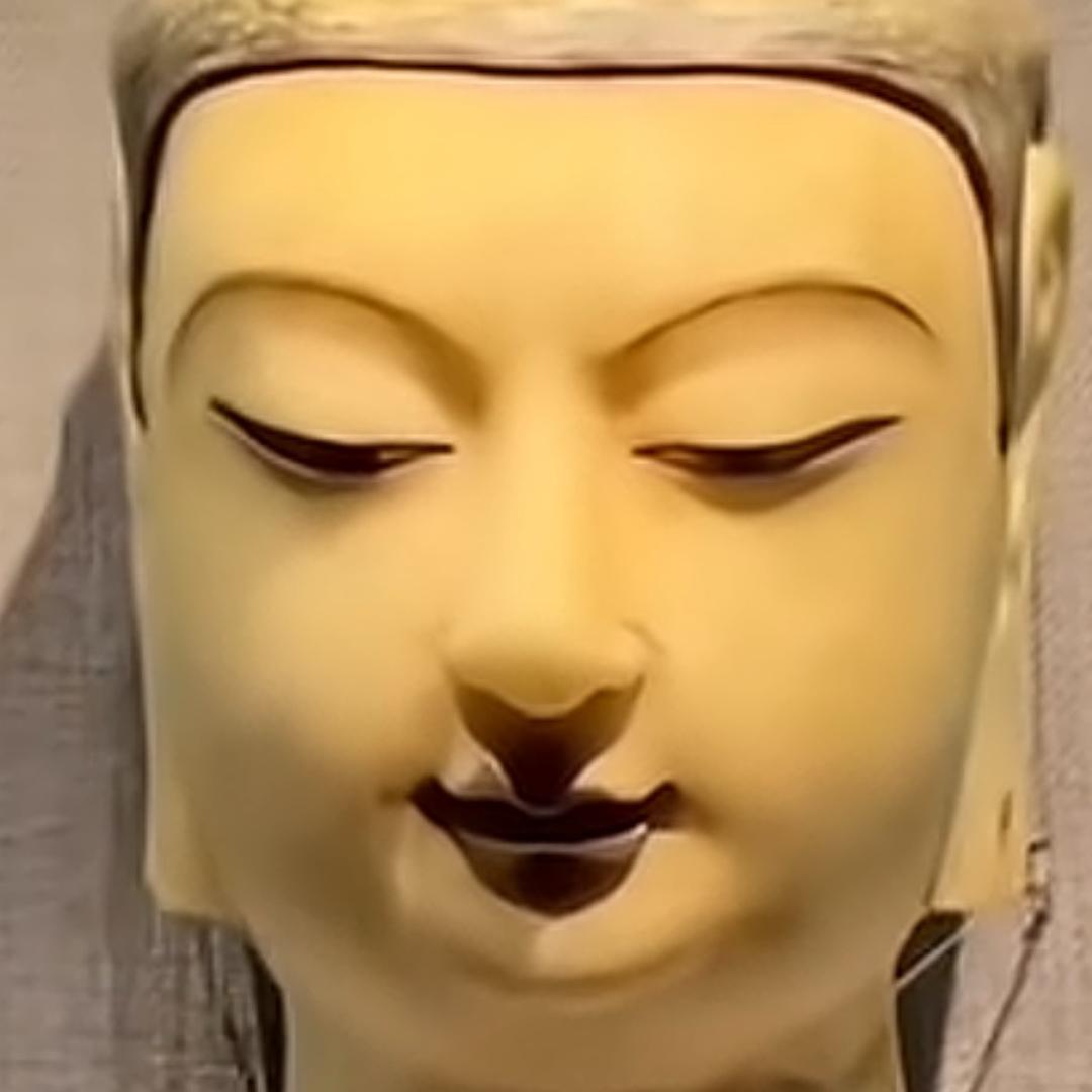 章鱼哥
