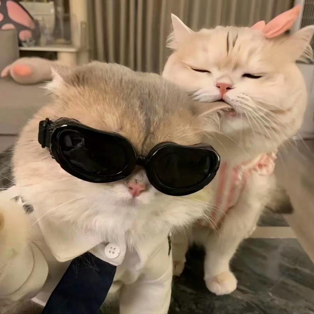 Redamancy👩‍❤️‍👨