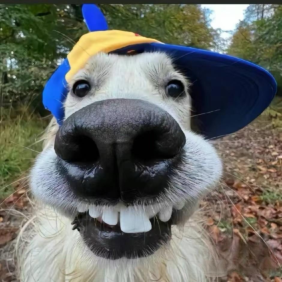 …..
