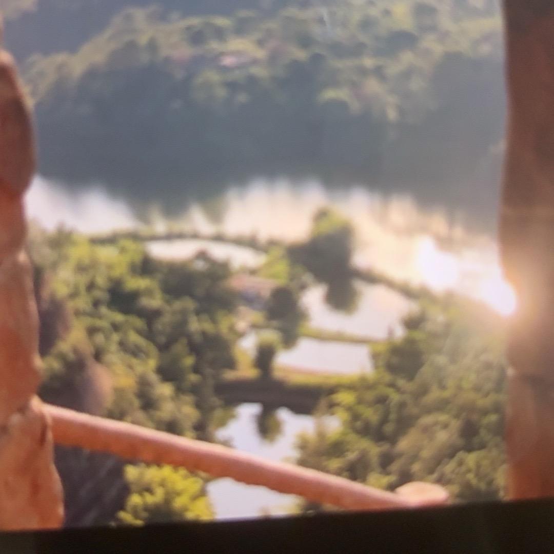 往事随风飘