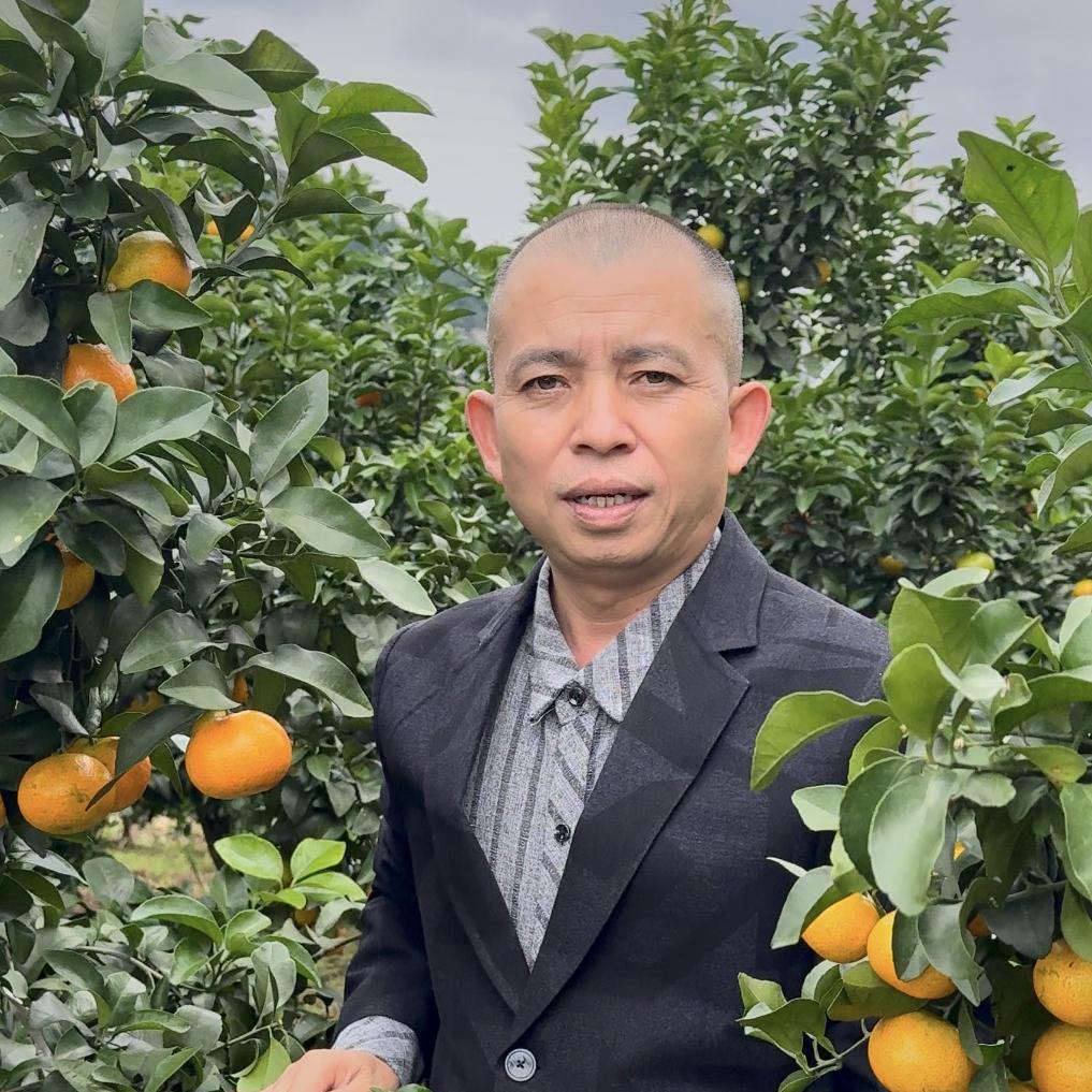 橙心橙意水果铺A