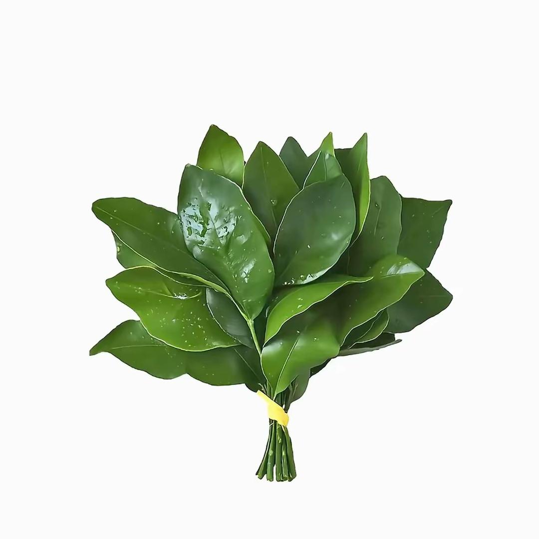 小张~(目标120斤)