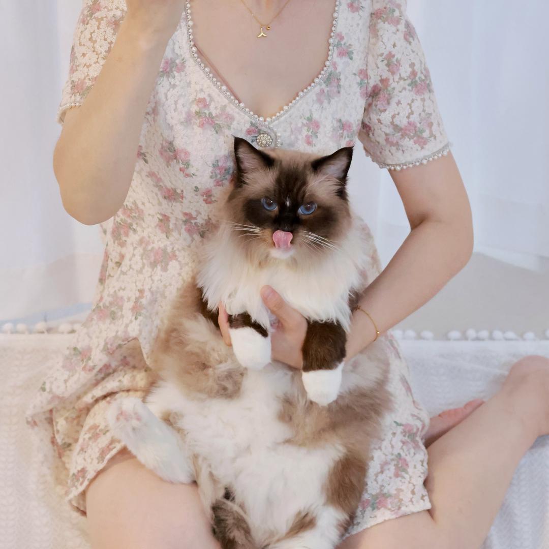 水沝淼㵘