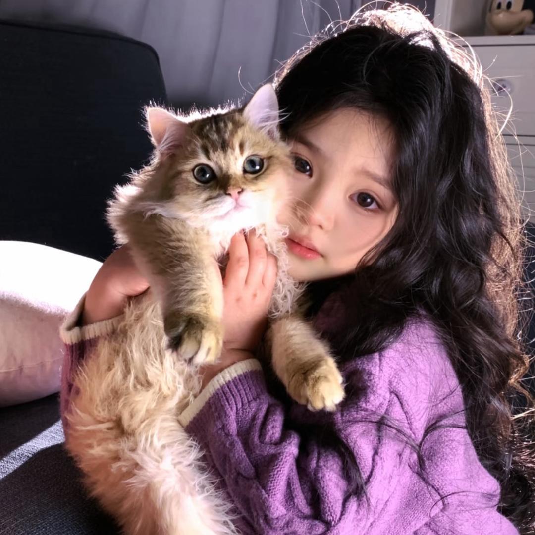 Y楊.
