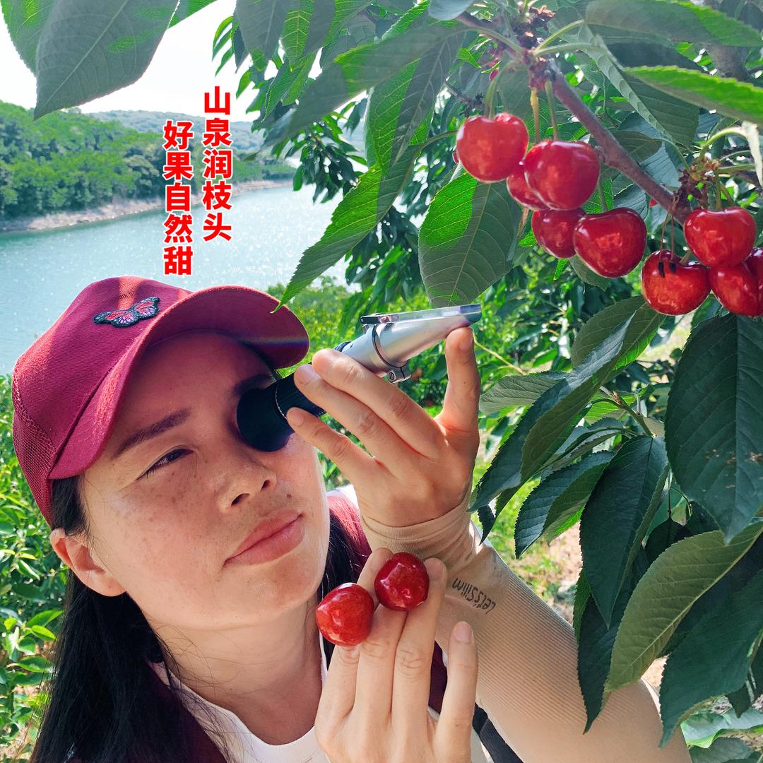 鲜果测糖杨姐
