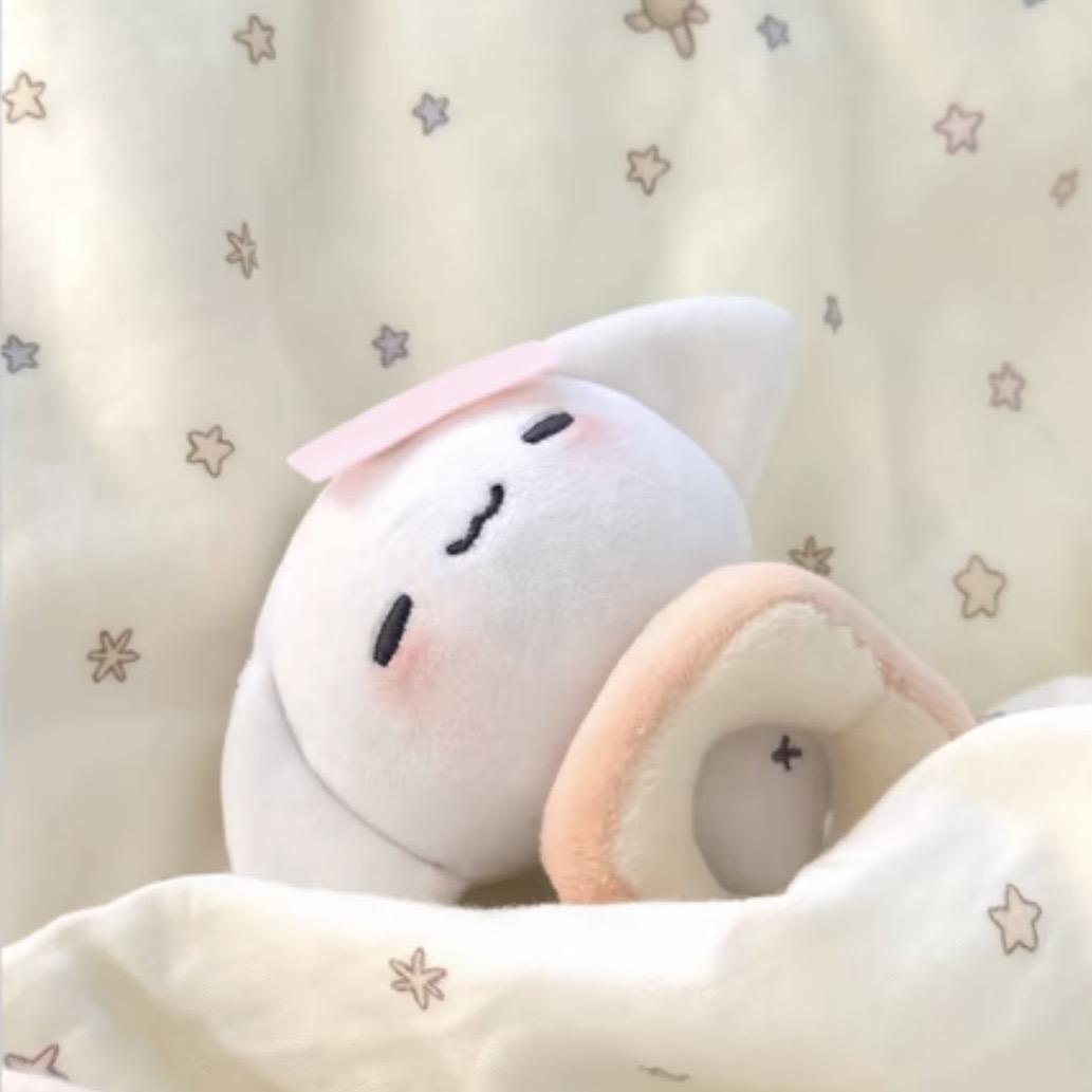 舒傅蕾