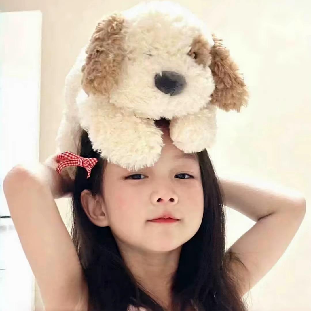 呆᳐呆小猫੭