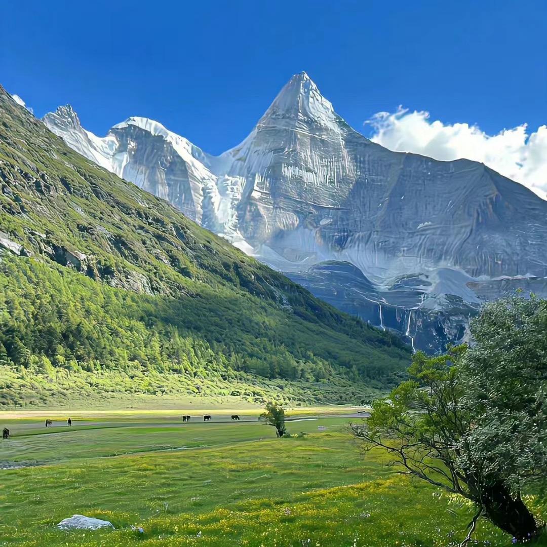 今天天气也不错