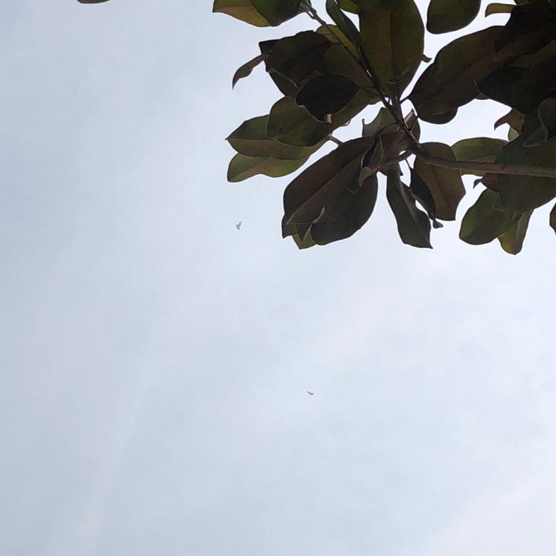 ᴶ²⁰風雲ᶠ²²