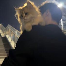 常慧老郑
