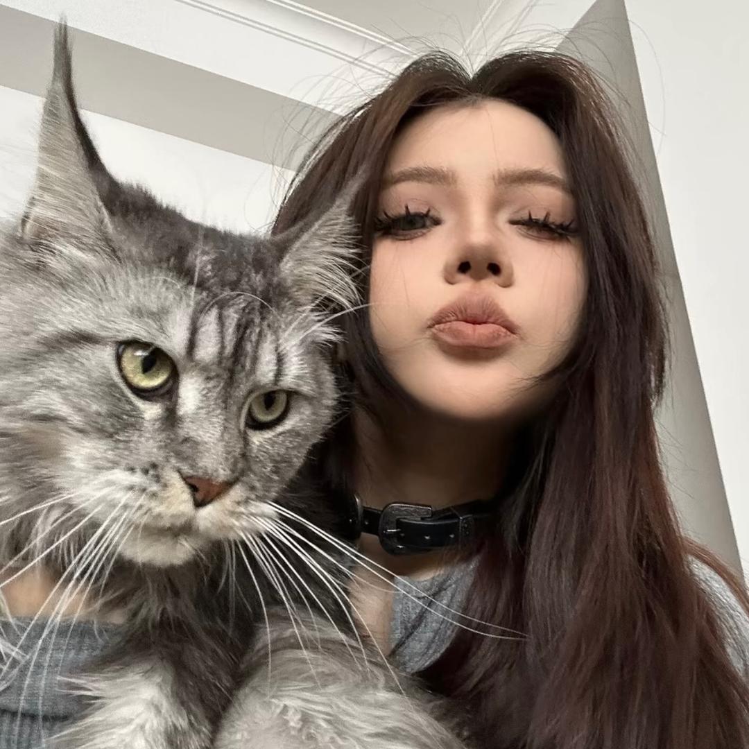 ᥫᩣ.想我莓🍓