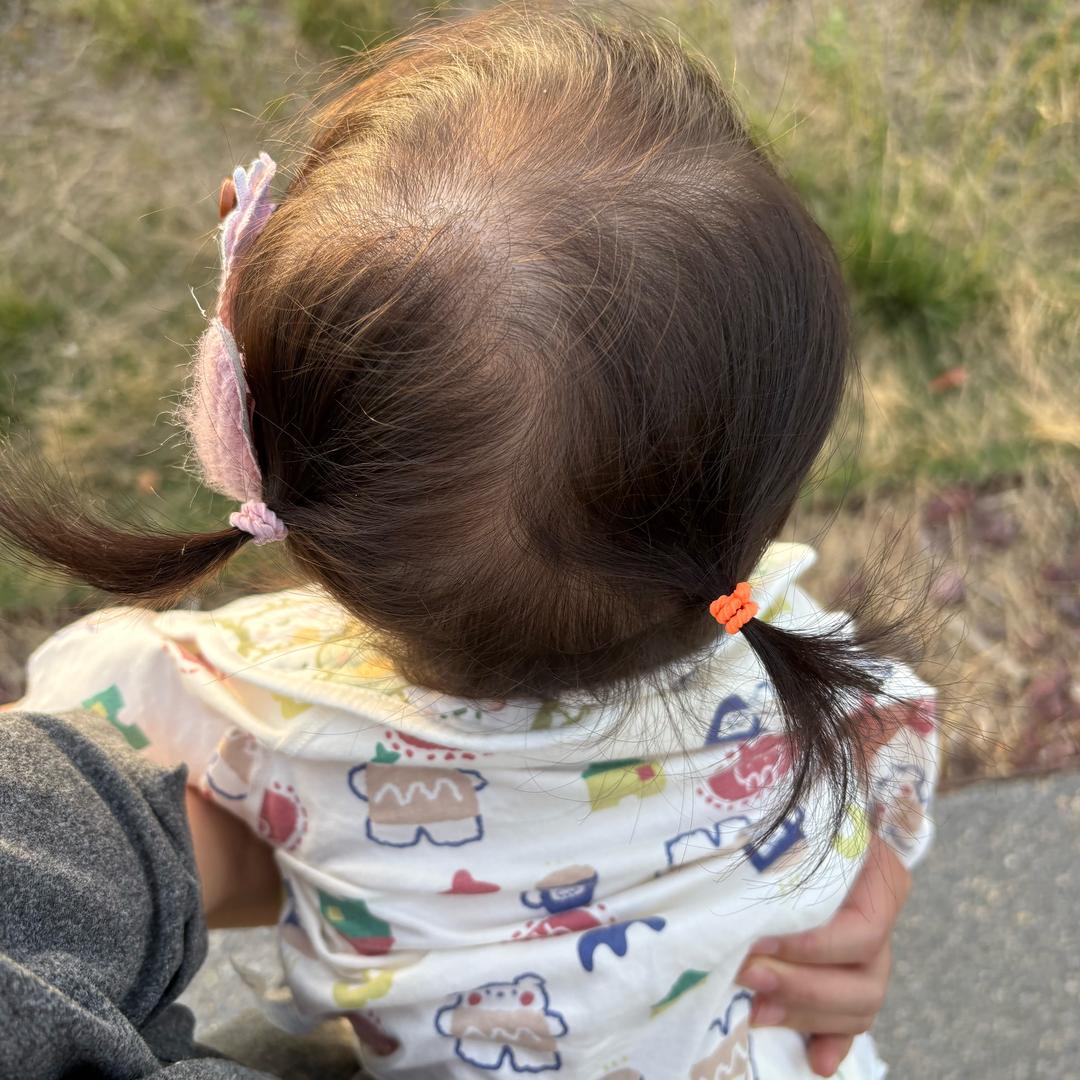 香梨成长日记🍐