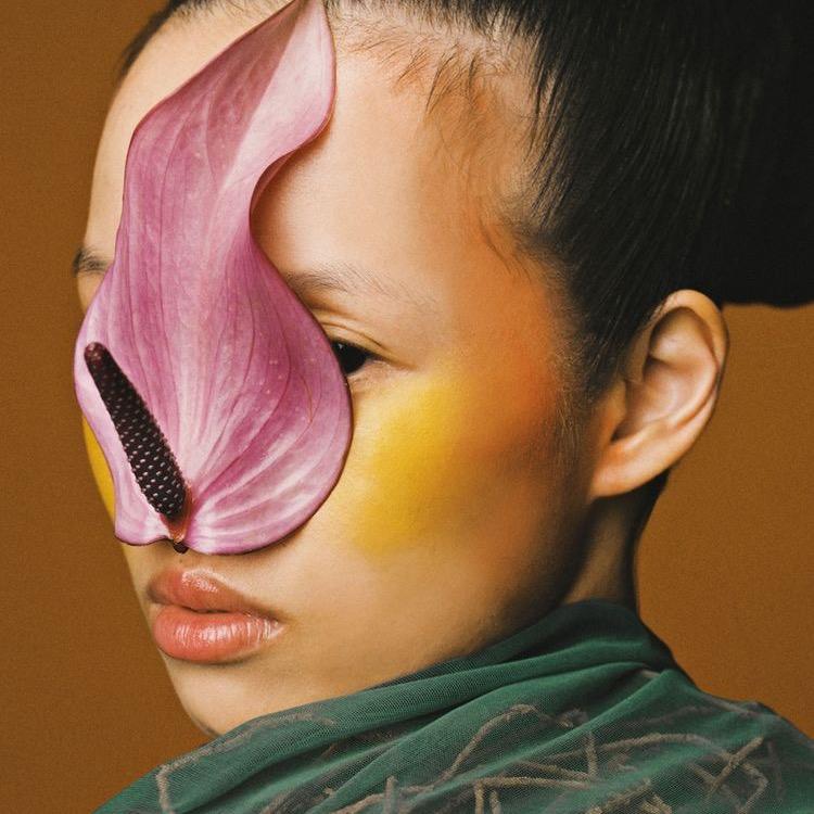 文妃
