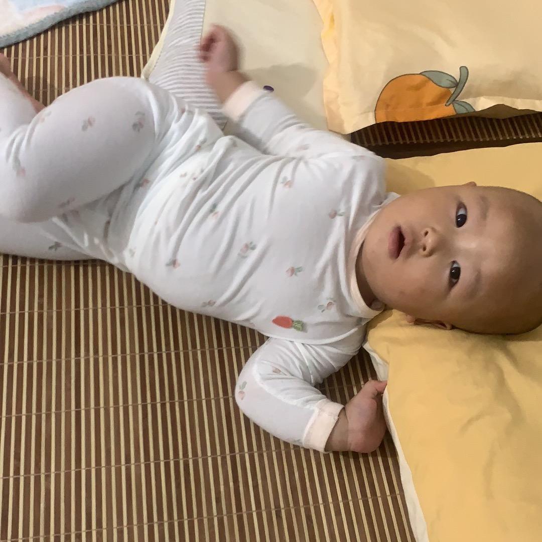 子鸢