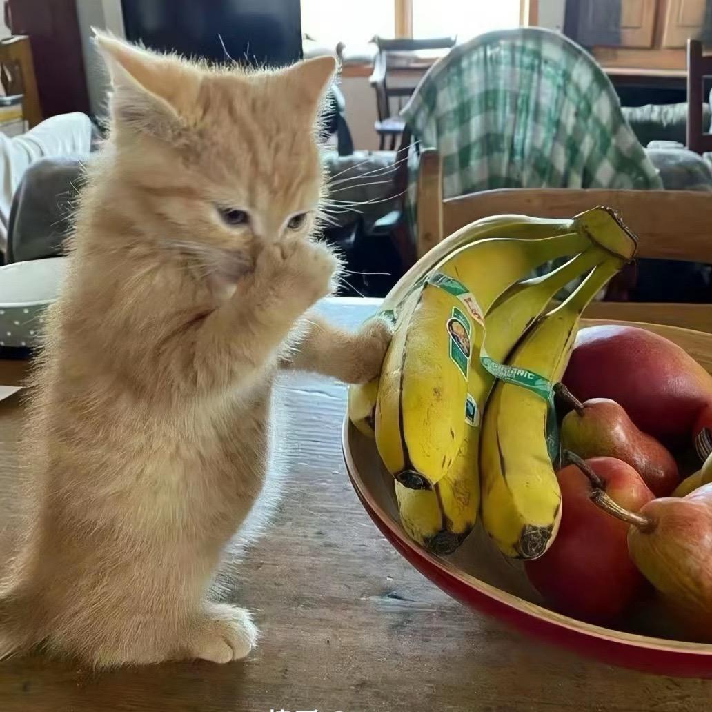 不自信的男人！