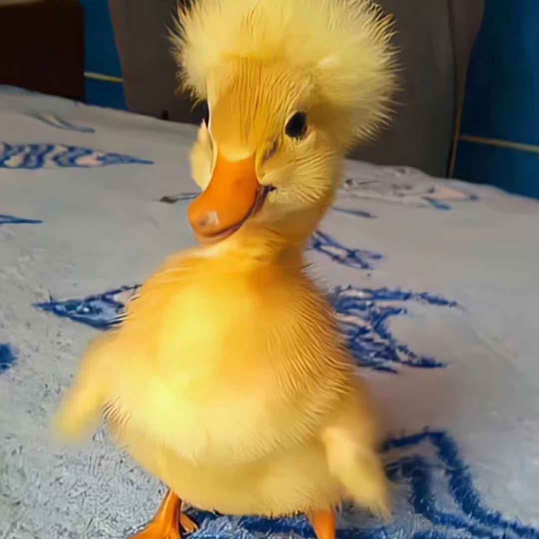 三十而已