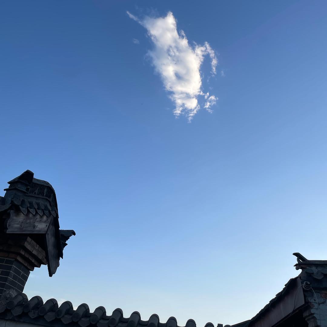 森哥
