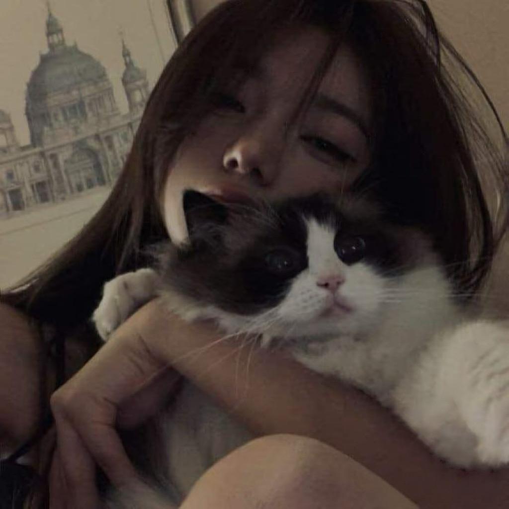 我有八百万