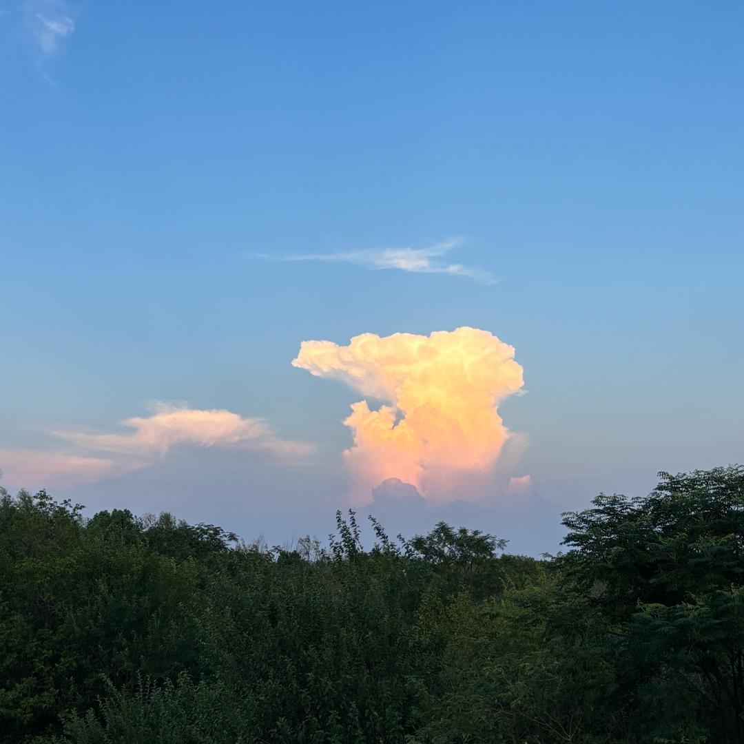 🌴🍍平安喜乐💚