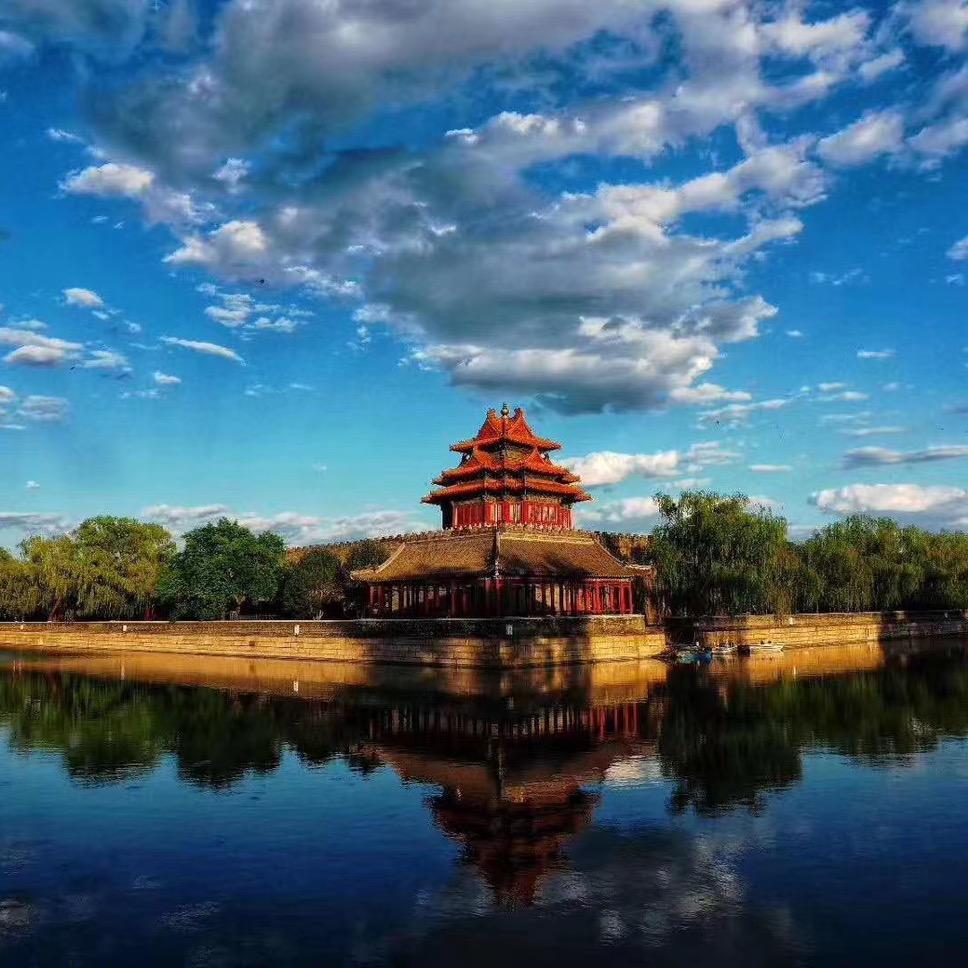北京东哥