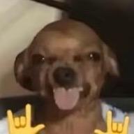 hhhhhhhhh