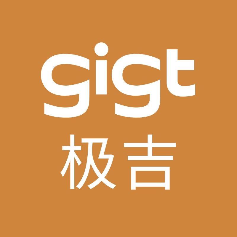 GIGT官方旗舰店